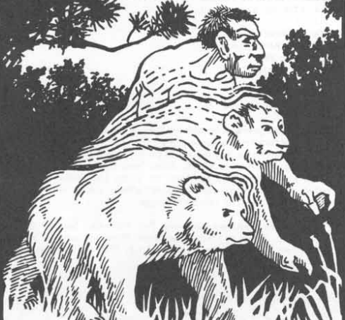 Me when I um. This is basically me when I - uh. This is a bear