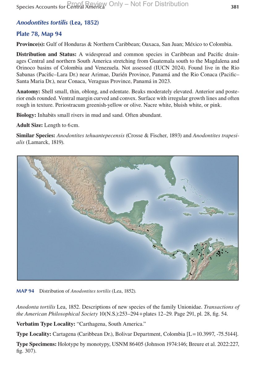jayhawktiemann's tweet image. New book alert on this #MolluskMonday!

Introducing "Freshwater Mussels of Central America"

Our book describes a fauna of global conservation concern in an understudied area

PS- we're trying to reduced the price &amp;amp; make it open access. Stay tuned!

routledge.com/Freshwater-Mus…