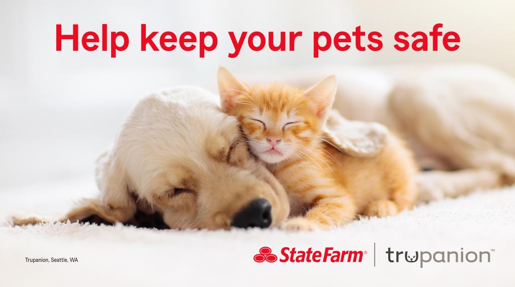 FarmTruax's tweet photo. There’s an elevated risk for flea, tick and heartworm infection in August. Help keep your dog or cat safe with these simple tips. Contact my office to learn more about pet health insurance. #GoodNeighbor

https://t.co/WbLtey4qJz https://t.co/qckW97jY20