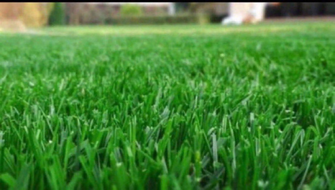 idalhyun's tweet image. how to say 'thank you' in spanish