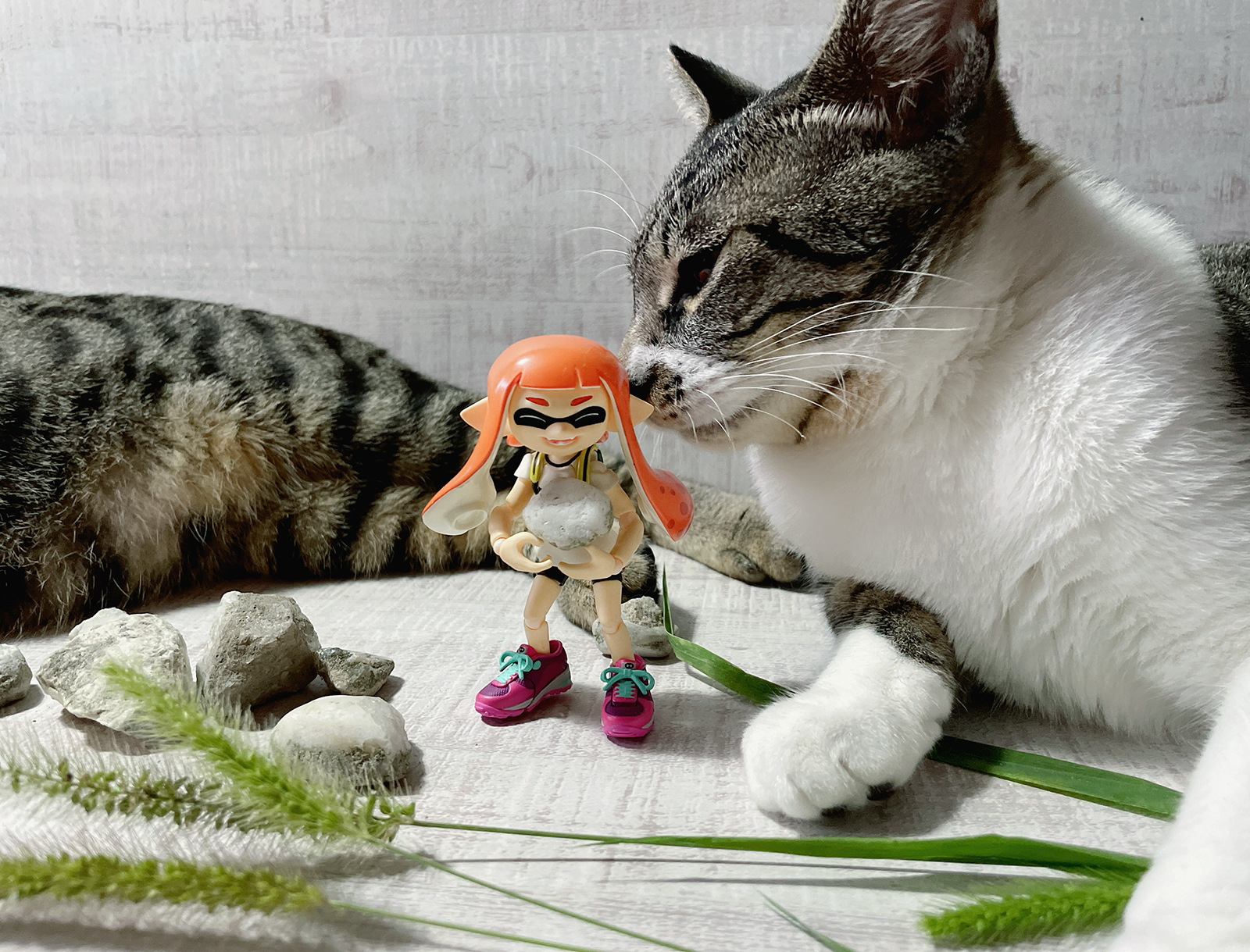 蓮くじらと綿毛猫くじら【イチゴchan】 あるびここ on X: 