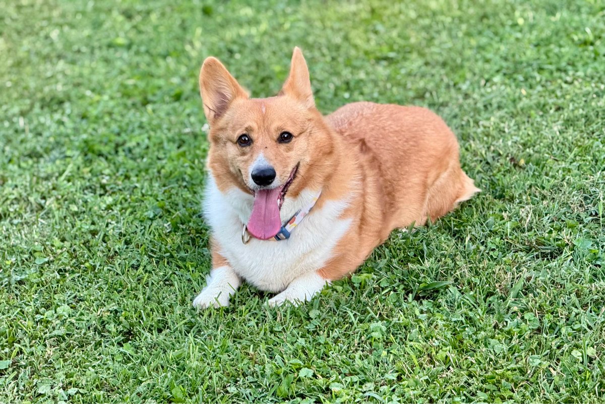 Does 0% of the yard work and gets to enjoy 100% of the yard.