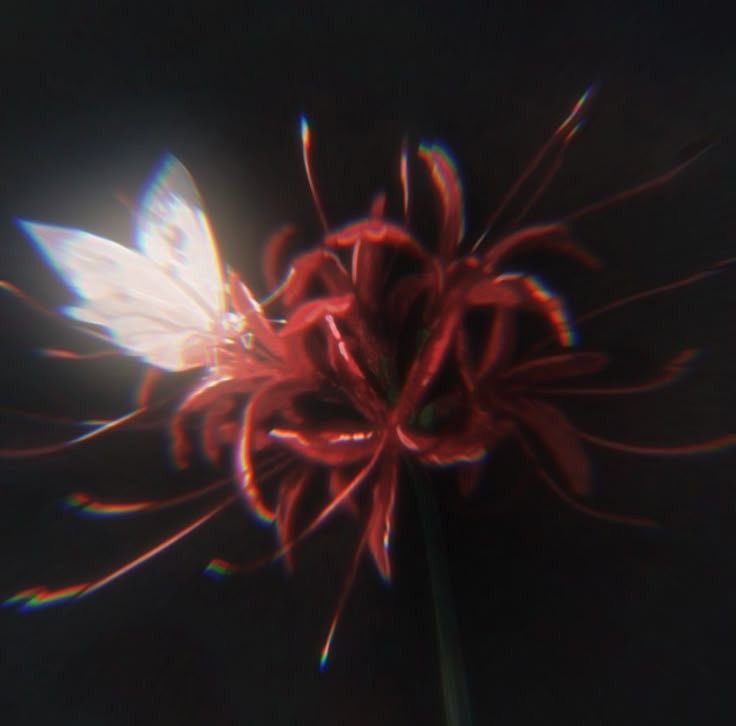 ☤⋆✴︎˚｡⋆ 𝕿𝑯𝑬 𝕬𝑹𝑪𝑯𝑨𝑵𝑮𝑬𝑳 𝕸͟𝑬͟𝑫͟𝑰͟𝑪͟ tweet media