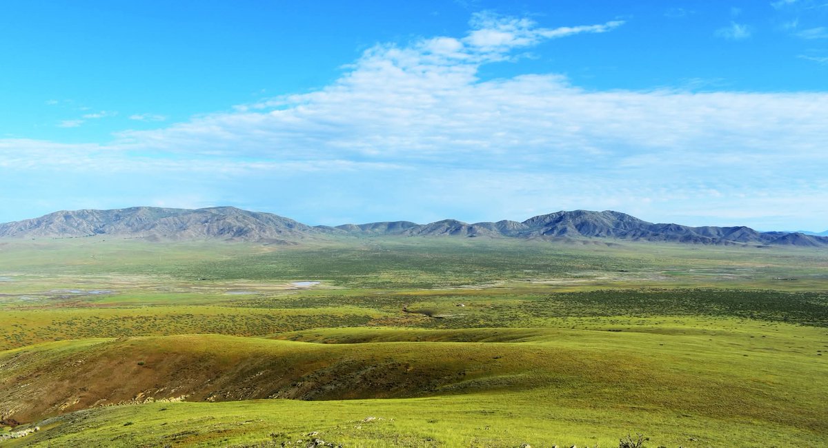 Шинэ сайхан өглөөний мэндээ Өргөн олон. Өнөөдрөө зоригтой, золбоотой, зорьсон үйлдээ зүтгэлтэй өнгөрүүлээрэй 😊💐🥀🌹
Өнөөдөр сайхан өдөр болог😊