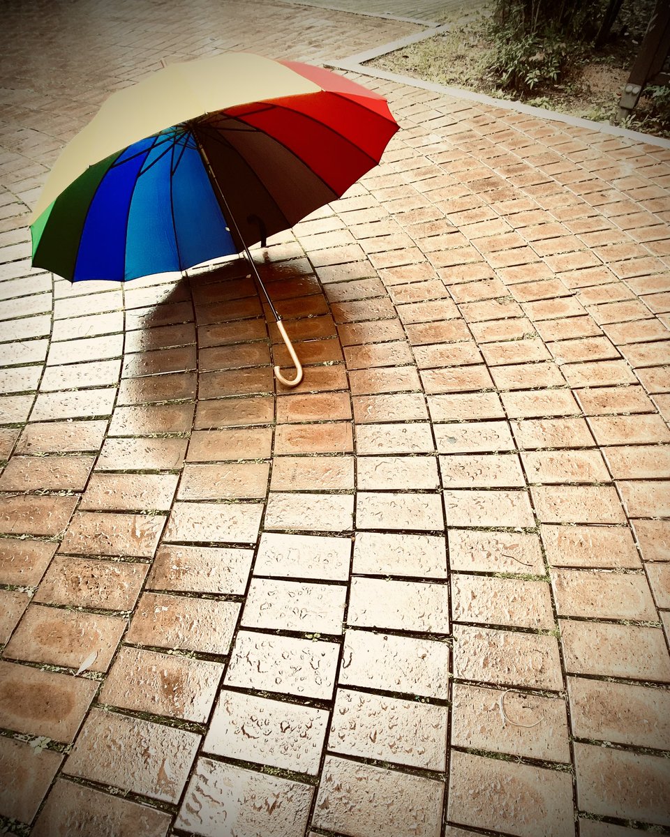 굿모닝~~보슬보슬 비요일 ⛈️

🎧☔ 🎼🎵 화요일에 비가 내리면 - 박미경,조관우 
youtu.be/HdBYSpSMcW4?si…

#비요일 #추천음악