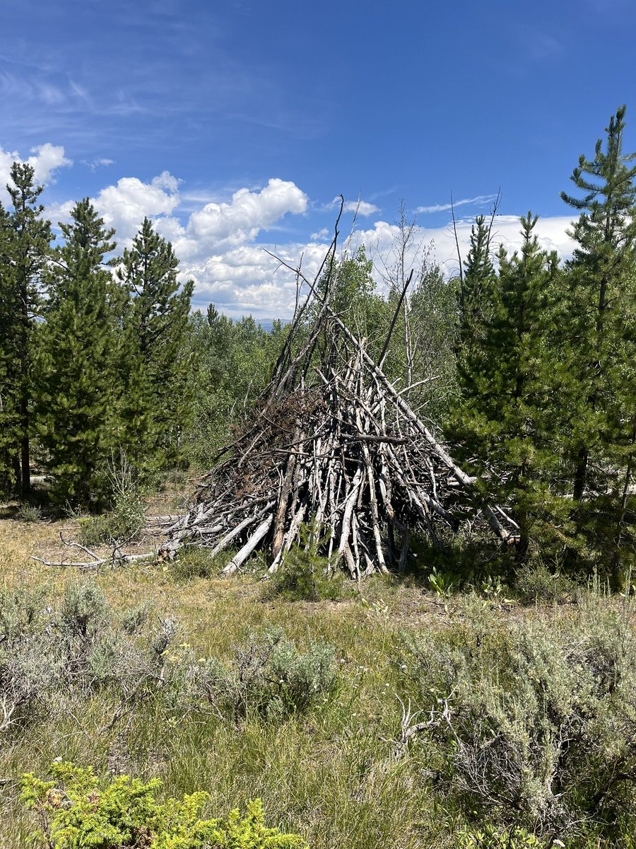 wind4me's tweet image. At my age , I’m #TimeLimited 

Going BIG or going home !!!!

I’ve built a #BinaryPyramid for 2030

I build $PLUG Pyramids #PositionSize