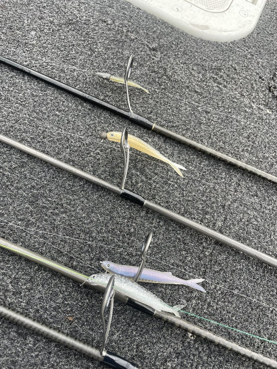 ラストエース86Sがリリース🔥
128Sと103S合わせて3サイズで
使い分けてみてください🙏
ミドスト、ホバストはフックサイズ#3
ぐらいがちょうどいい感じです👍
#ラストエース86S