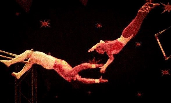 taylor 🏒 mchn au's 📌 tweet media