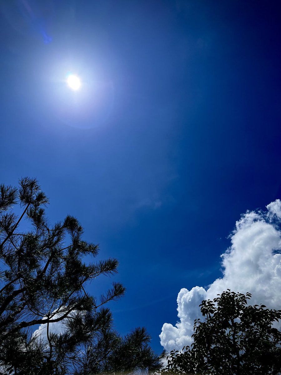 여름도 끝나간다. 병에 걸리기 전부터도 매년 엄마는 여름마다 아팠다. 올해는 다행히 생일을 넘겼고, 나는 이제 내년을 기도한다.