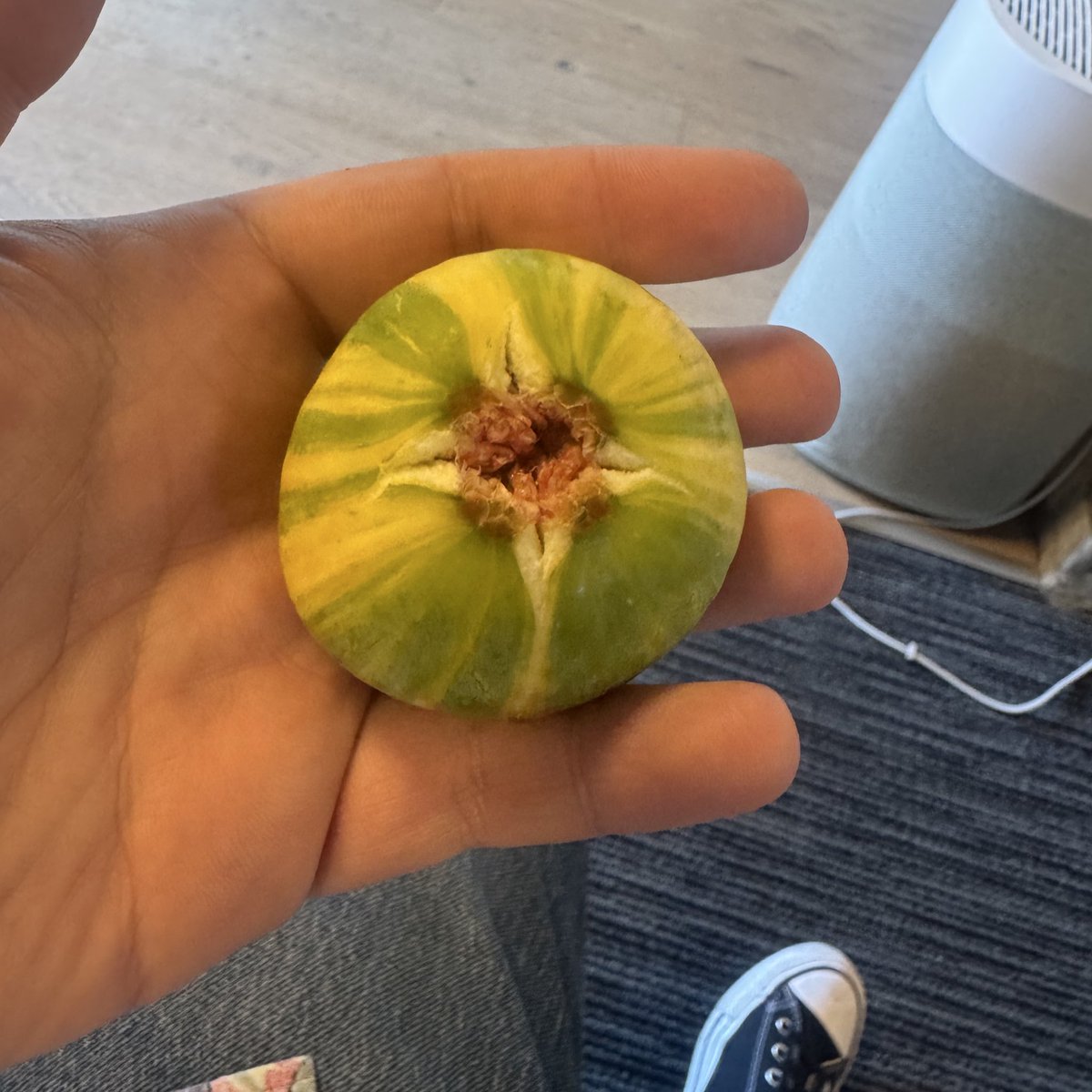 who tryna get they figu… nevermind