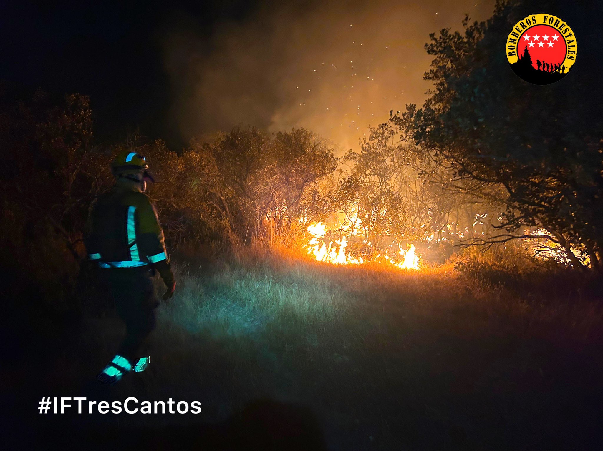 Foto cedida por Bomberos Forestales CAM