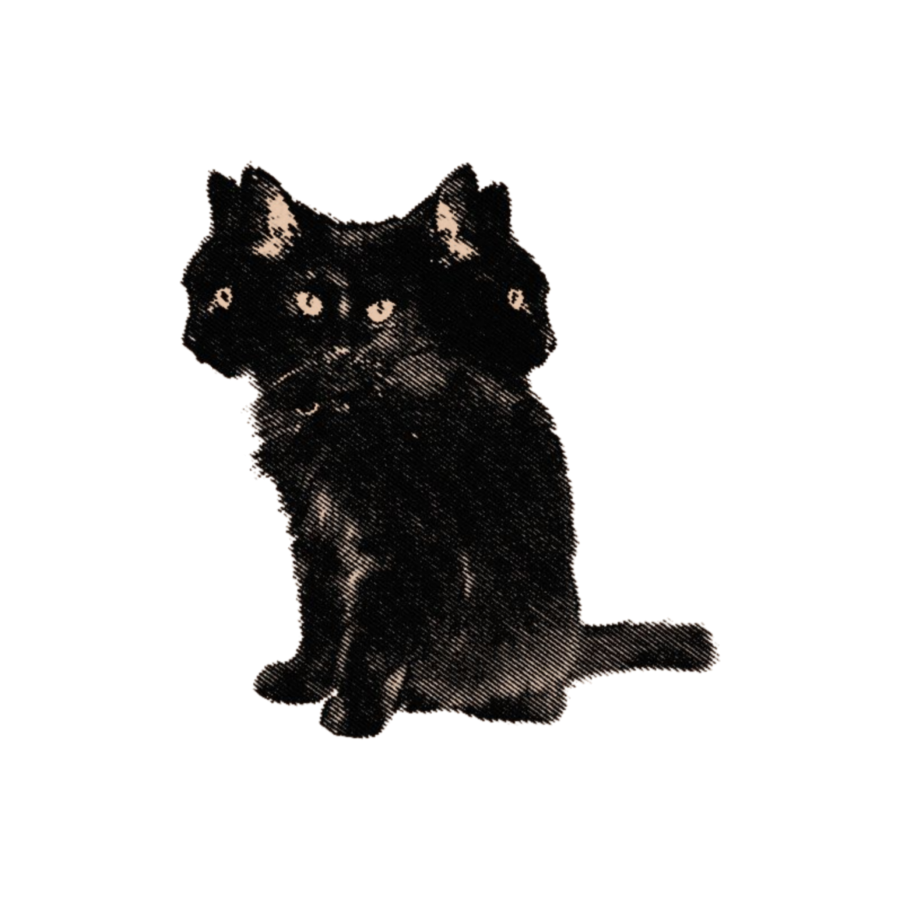 ‍ ‍ ‍ ⟢͡ ‍ 𝓗. 𝖋ᵉˡⁱᶜⁱᵃᅟׅ ‍ ᅟׅ⎖ ‍ tweet media