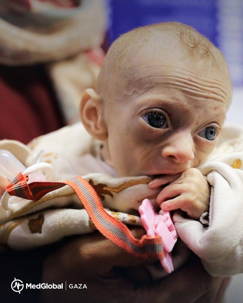 ChinookJo's tweet photo. @realDonaldTrump the so called peace president still war in #Ukraine still genocide in #Gaza and now your new war on the #Homeless you are the biggest threat to #Humanity ! Shame on you! #GazaStarving #GazaGenocide #DonaldTrump #Washington #BibisPuppet #EpsteinTrumpFiles https://t.co/o7xZigBDVc