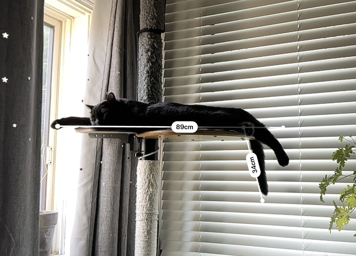 눈 뜨자마자 본 풍경 ㅋㅋㅋ
발판 확장을 한건데 쪼오금 부족하네…