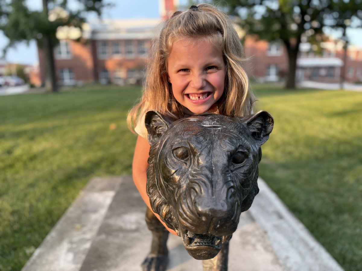 Beechwood Tigers tweet media