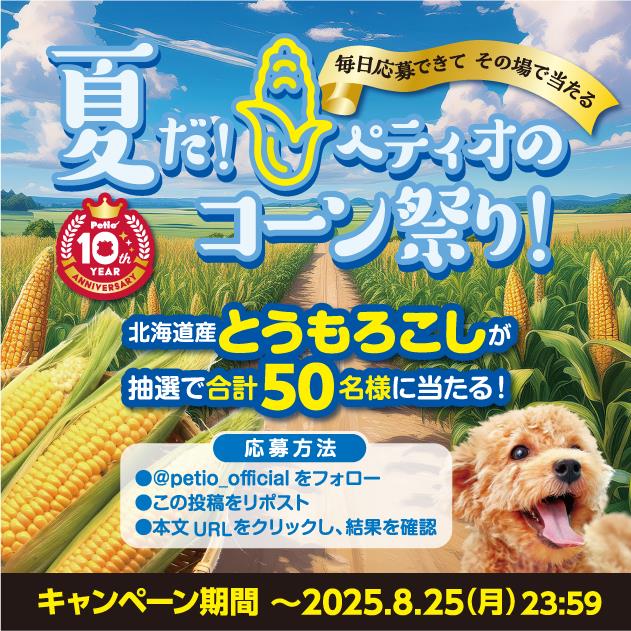 Petio|ペティオ (@petio_official) on Twitter photo /
夏だ!ペティオのコーン祭り キャンペーン🌽
\
🐶おもちゃ #かんでるCORN にちなみ
「北海道産とうもろこし 10本」を抽選で50名様にプレゼント🌽🎁
📭応募方法
① <a href="/petio_official/">Petio|ペティオ</a>をフォロー
② この投稿をリポスト
③ present.social-camp.com/petio_official… から結果を確認
📅今日23:59まで❗
#ペティオ /
夏だ!ペティオのコーン祭り キャンペーン🌽
\
🐶おもちゃ #かんでるCORN にちなみ
「北海道産とうもろこし 10本」を抽選で50名様にプレゼント🌽🎁
📭応募方法
① <a href="/petio_official/">Petio|ペティオ</a>をフォロー
② この投稿をリポスト
③ present.social-camp.com/petio_official… から結果を確認
📅今日23:59まで❗
#ペティオ