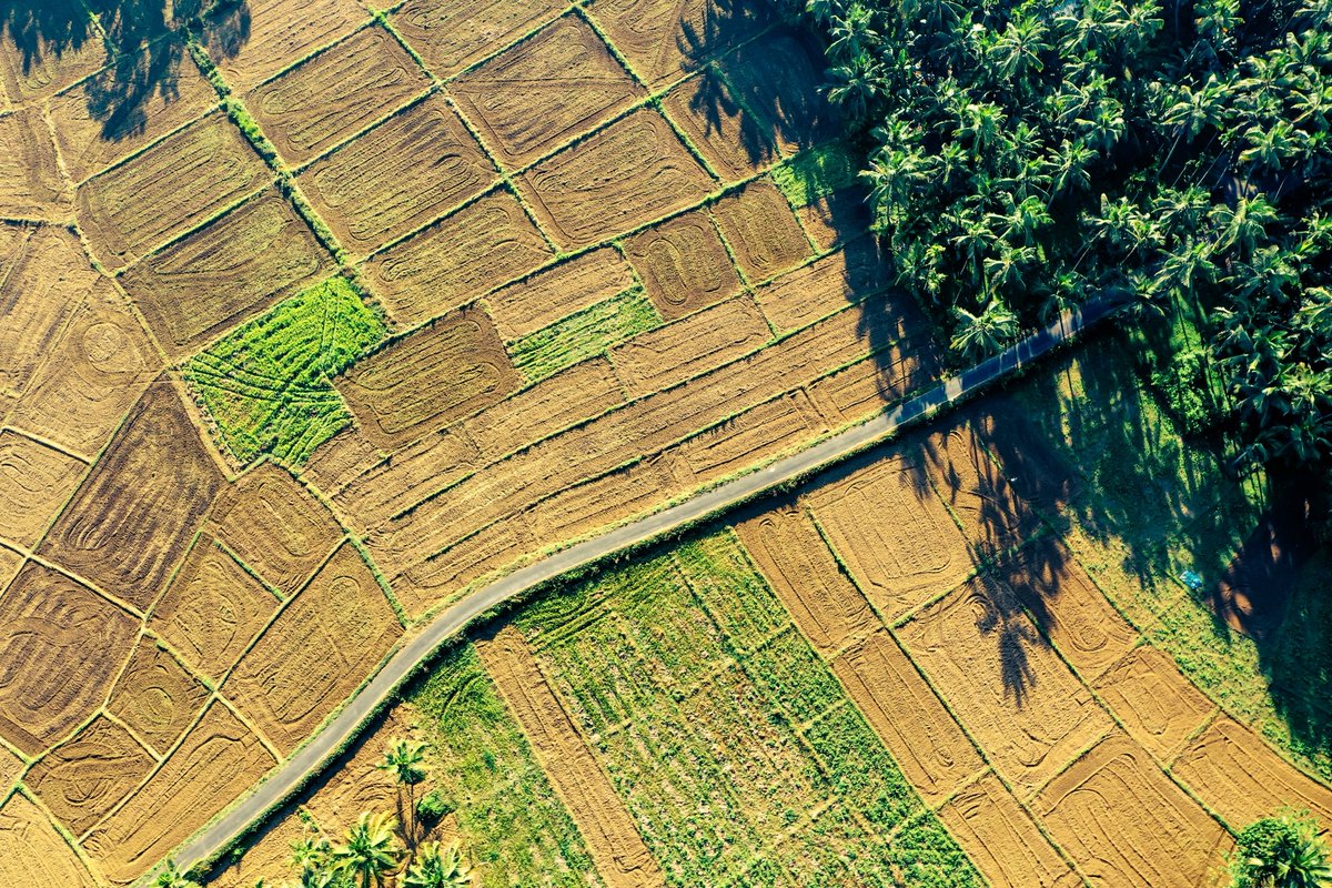 Trinetraphotogy's tweet photo. Somewhere between the green and the blue, India stole my heart from 200 feet above.  #DroneView #IncredibleIndia #shootsaga #field #trvel https://t.co/gVkKpCpR1H