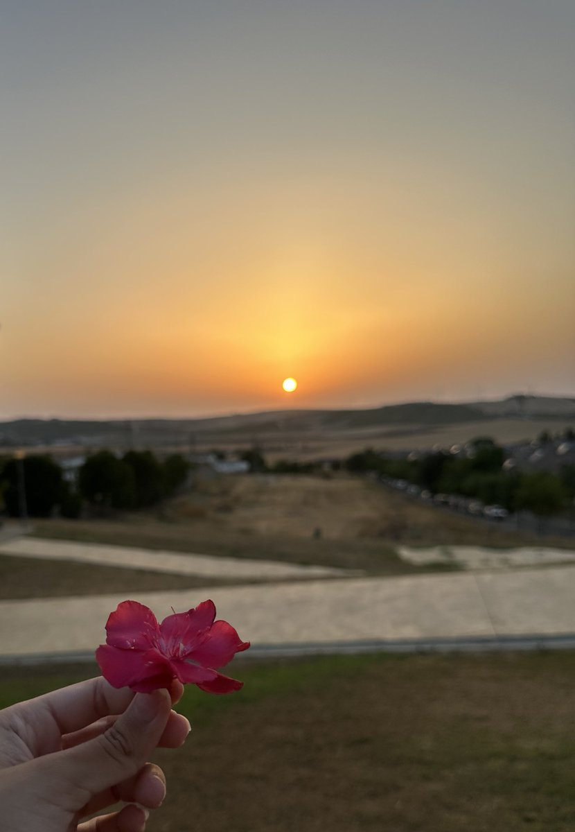 nereeagi's tweet photo. 🌺🌺🌺🌺 https://t.co/RbG02SiWfs