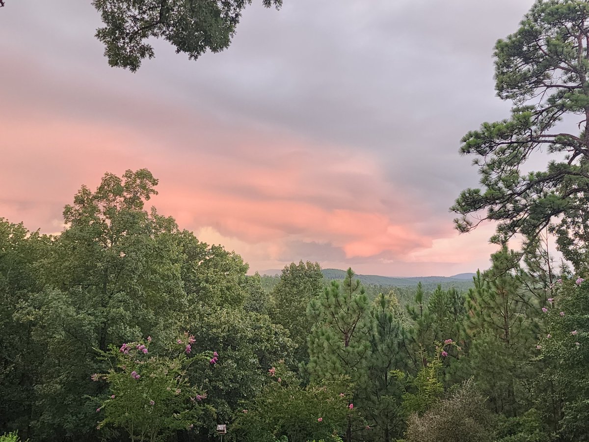 Stephan Frank tweet media