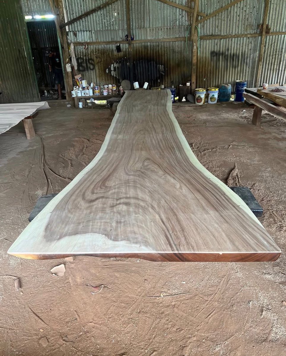 ArsonMarc's tweet image. Premium Live Edge Suar Wood Slab

600 x 120/150 x 8cm

Kiln-dried for perfection. Stunning live edge character.  

Stock available now. 
Order yours today – contact us ;

#liveedgetable #diningtable #suarwoodslab #tabletop #furnituredesign #interiordesign #woodworking