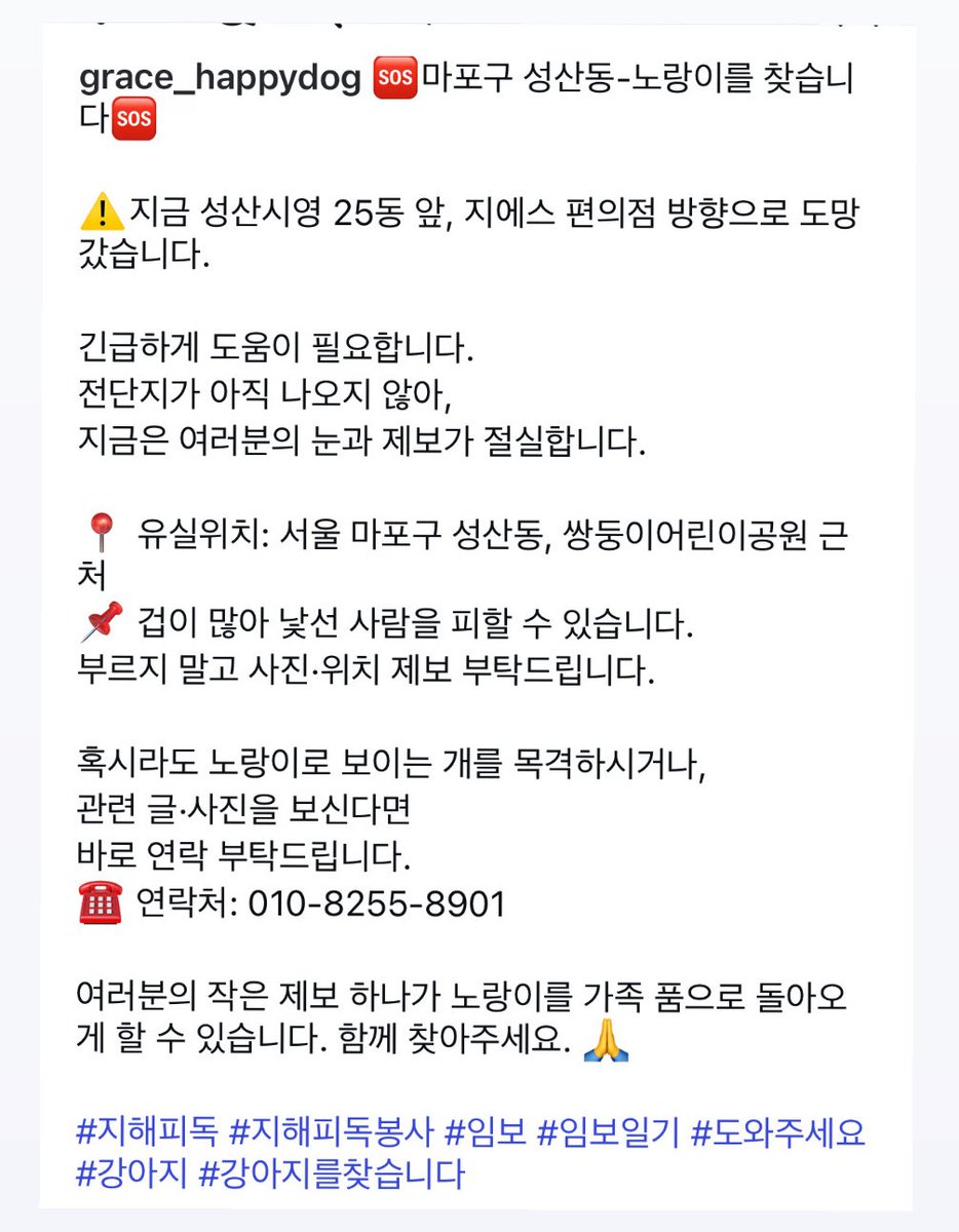 강아지를 찾습니다)
서울 마포구 성산동,
쌍둥이어린이공원 부근
겁많으니 잡지마시고 연락주세요
누런털 겁많음