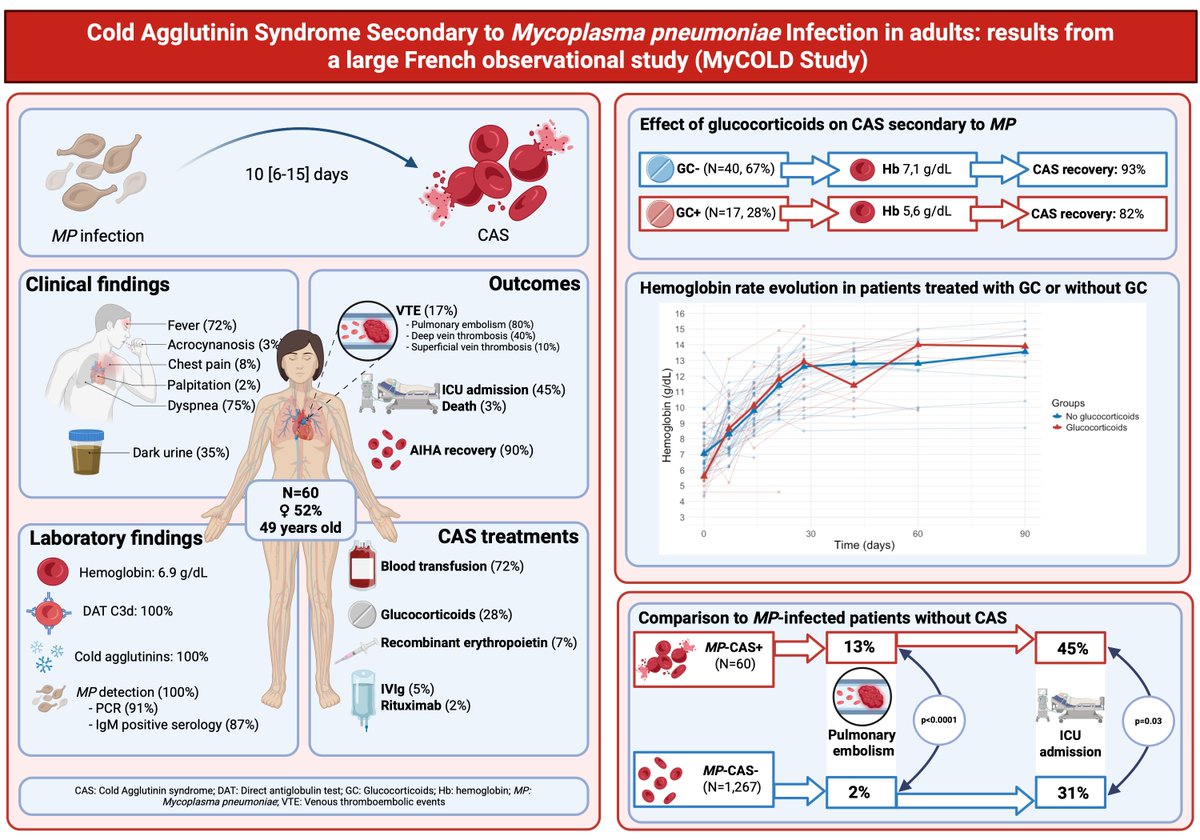 Mycoplasma pneumonia infection may seldom lead to cold agglutinin syndrome; learn more about this association by reading  @Kev_chevalier et al.'s recent paper on a French multicentre observational study
doi.org/10.1002/ajh.70… #hematology