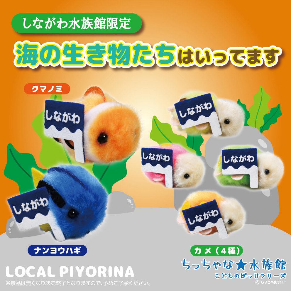 しながわ水族館限定「#ご当地ぴより〜な」 ナンヨウハギ・クマノミ