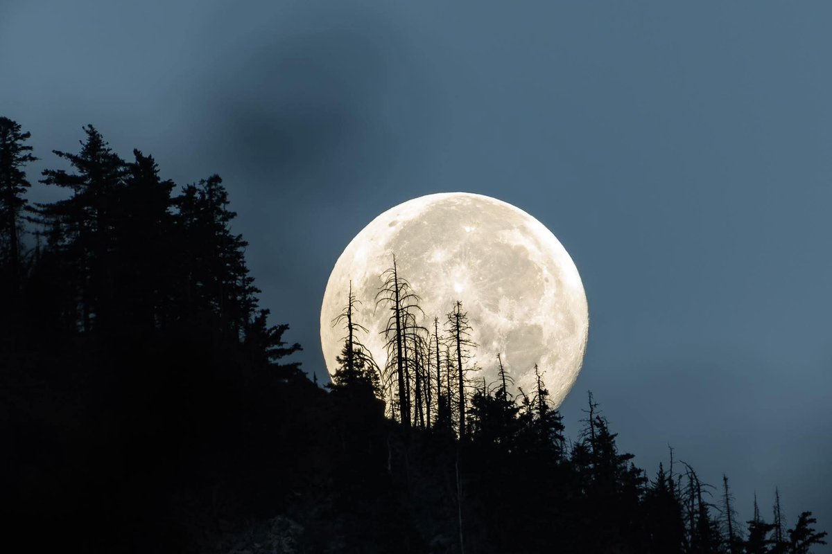 _Azarrys_'s tweet image. If you DM me just “??” - ignored.
If you ask “Do you stream?” - ignored.
If you DM “You’re such a hot man” - I will answer, because that’s elite-level stupid.
#StreamerLife #DMFail #SocialMediaFails #OnlineDatingFails #ContentCreatorLife #GamerHumor #StreamingLife