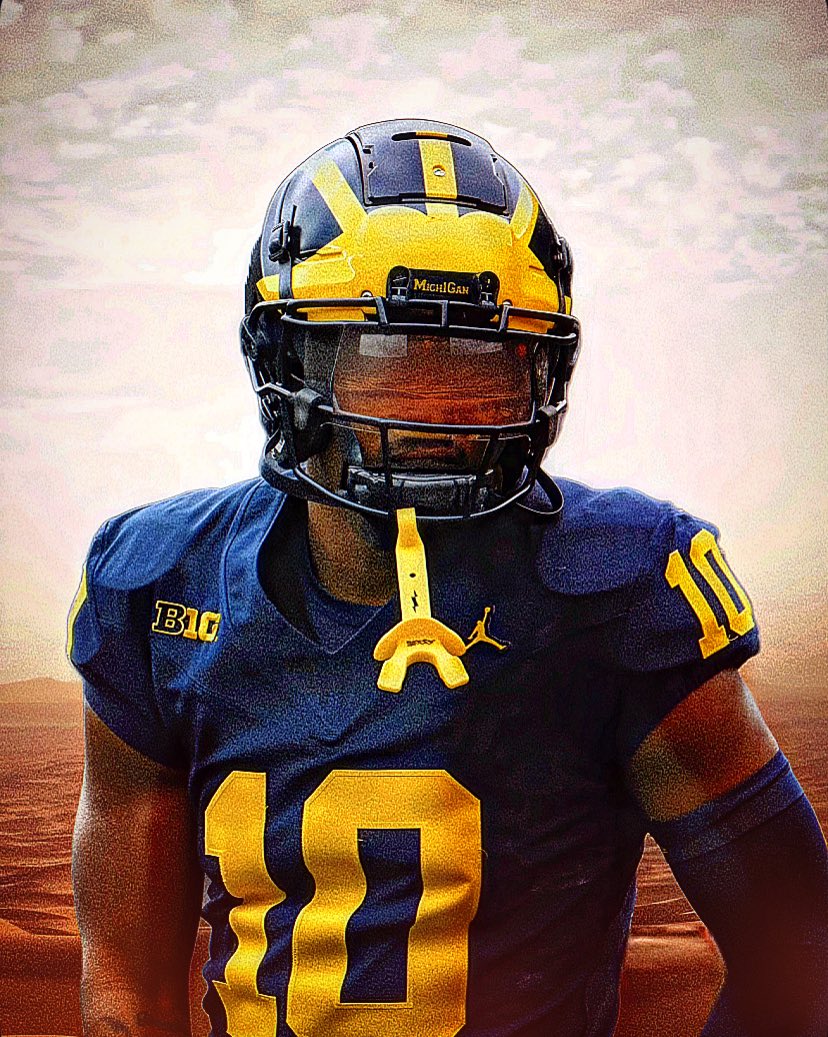 Wolverine Designs tweet media