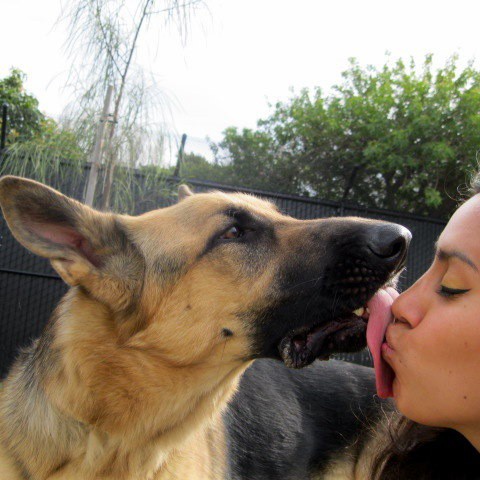 Sofia09K9's tweet photo. ❤️❤️❤️ https://t.co/jCUBjNF1cn