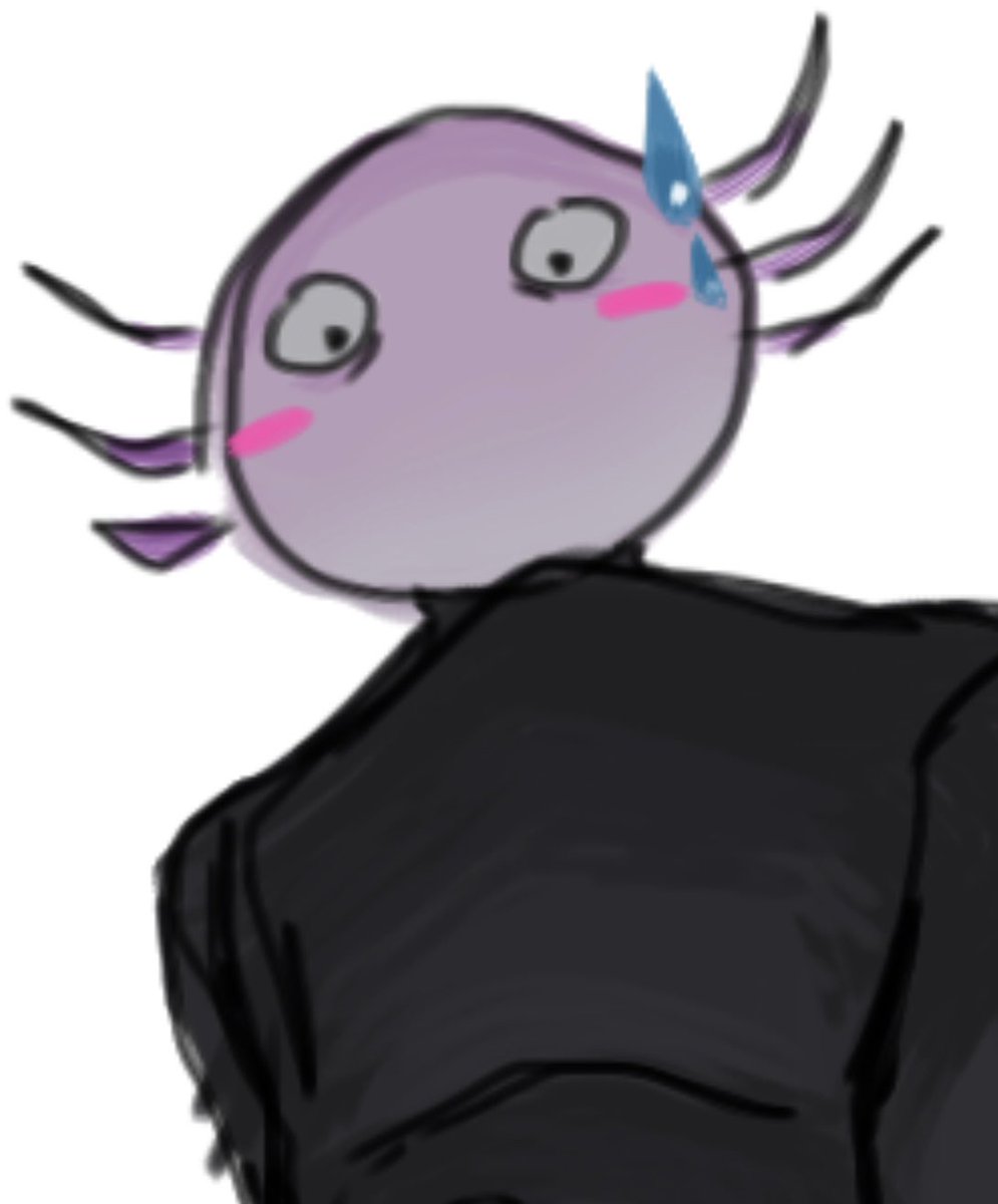 accesstinternet's tweet photo. Umm #kinitopet https://t.co/LzuuBnF0mp