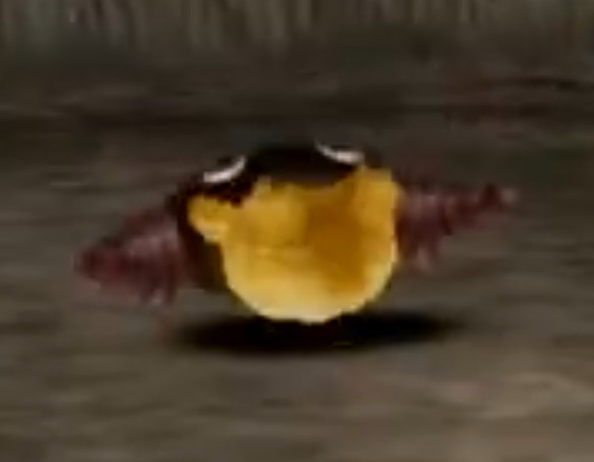 얀 피격모션 너무 귀여움 뒤로 데굴. 하고 자빠졌다가 다시 일나서 폴짝댐