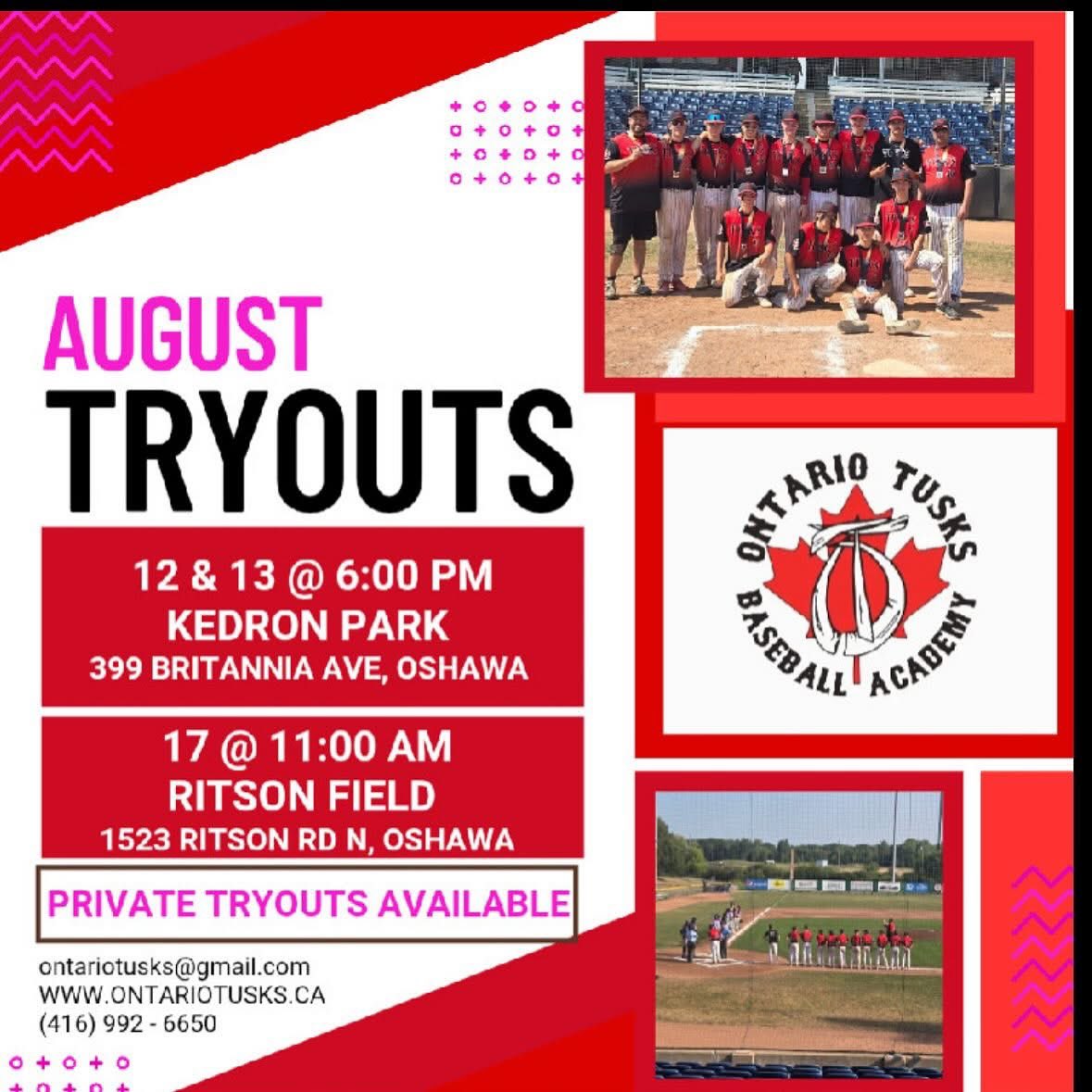 FJSL Baseball League tweet media