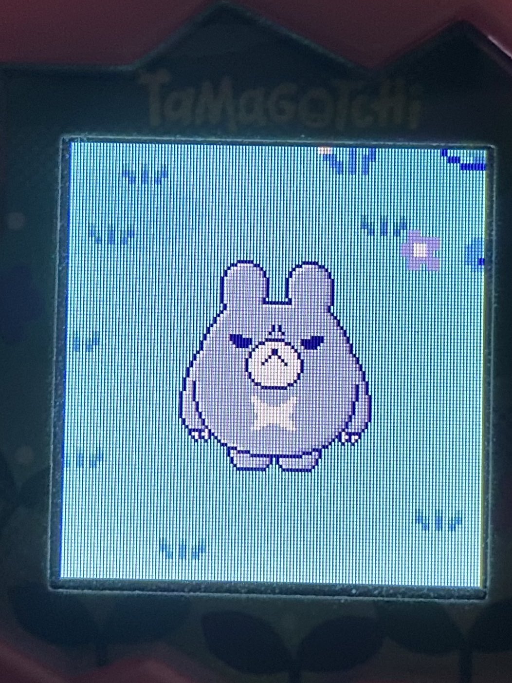 くまʕ。•ﻌ•。ʔꔛᰔᩚ。様✩.*˚ 𝐤𝐨𝐮(^.^)𝐛 on X: 