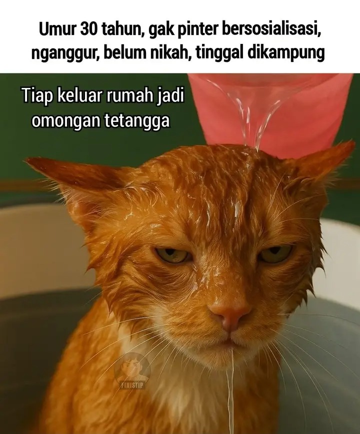 Mana 19jt pekerjaan yg kau janjikan wok!!! Yeet!