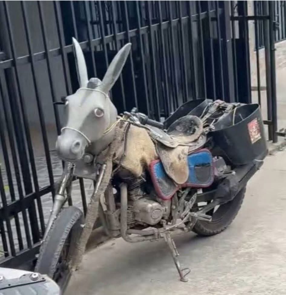 Ah perro traes la Javier Lozano 650.
