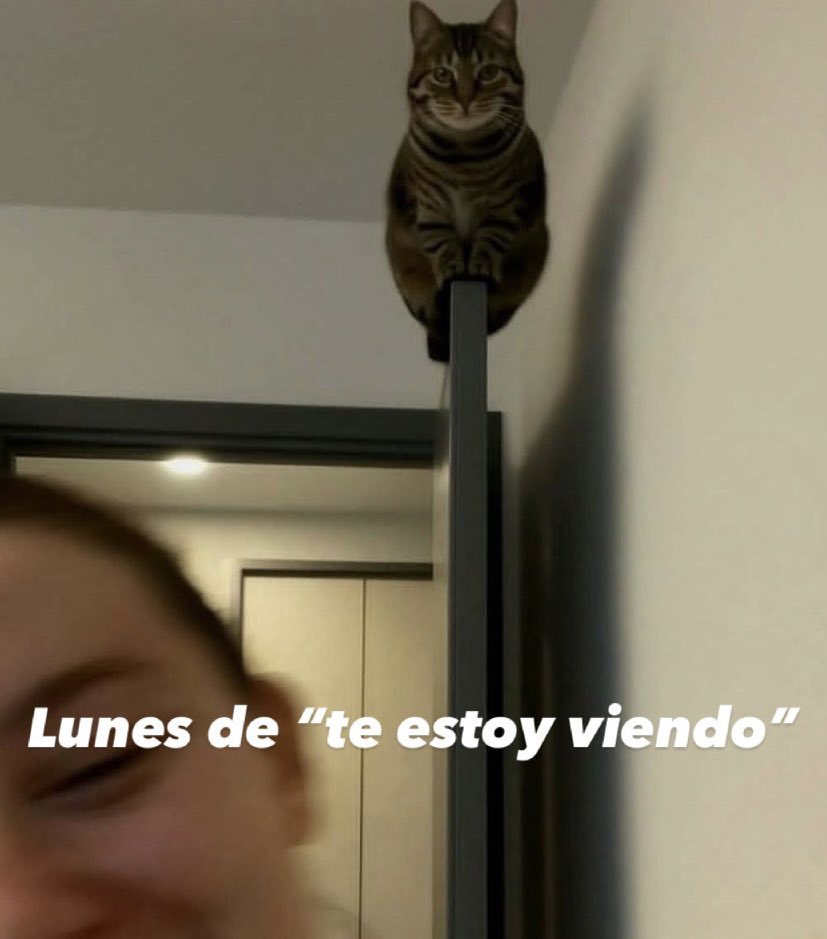 YoAnotzin's tweet photo. Lunes de te estoy viendo, no la cagues.
#YaQue #ConTokio #Punch https://t.co/MKg5Baxkxv