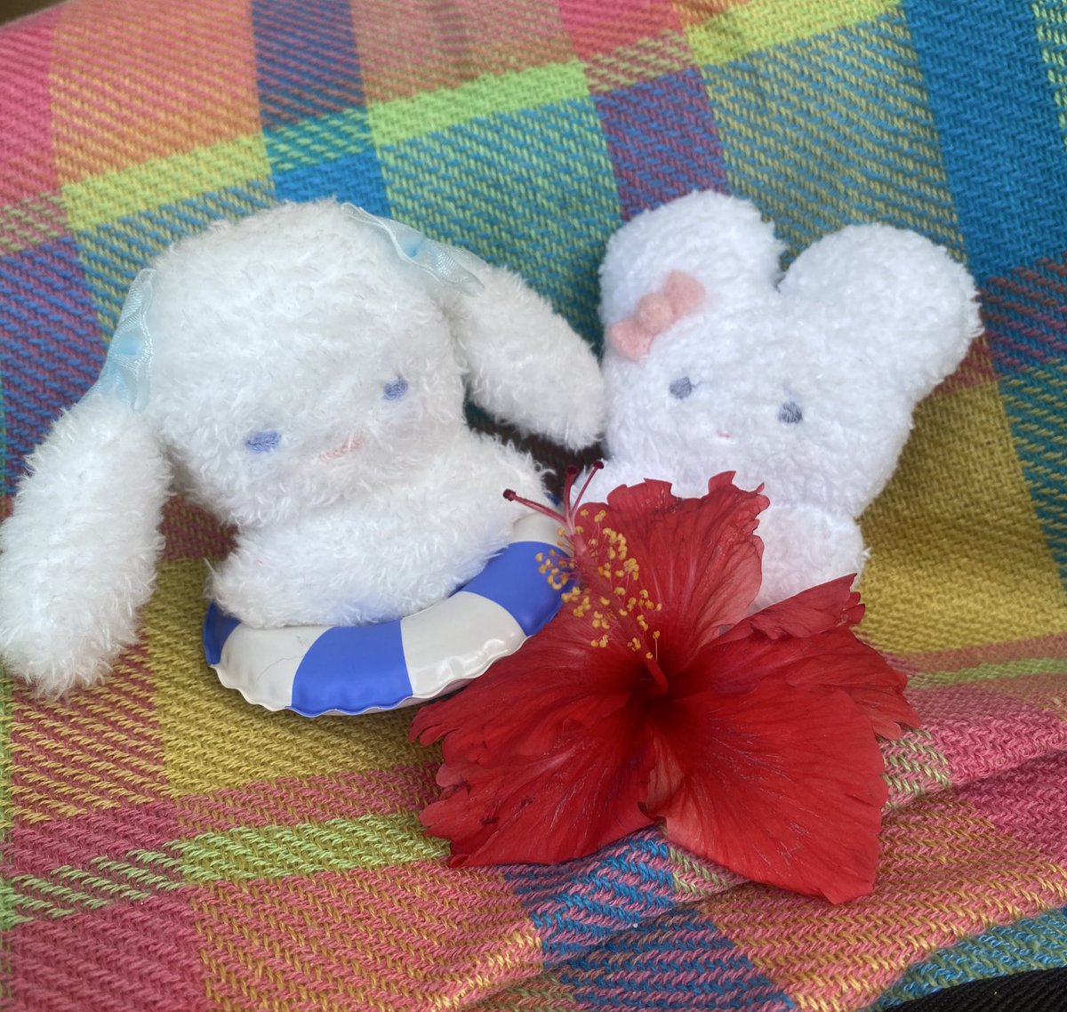 ばかんす🌺

#ぬいぐるみ