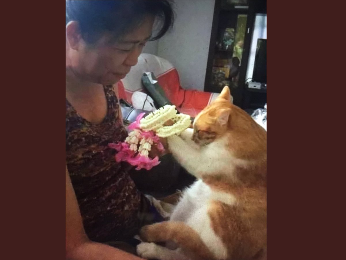 หนูรักแม่ ขอบคุณที่เลี้ยงหนูมา