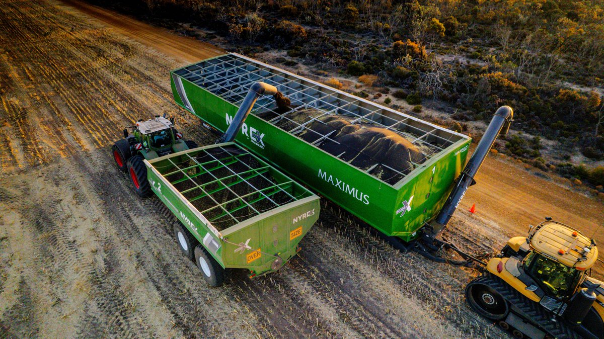 Look at that lineup of 300T Maximus Motherbins👀 Esperance area, WA.

Call us on 08 9635 2300 or email sales@grainking.com.au to find out more.

#GrainKing #Farming101 #farmers #Grain