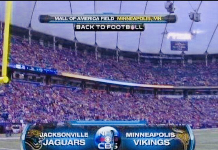Minneapolis Vikings, baybee