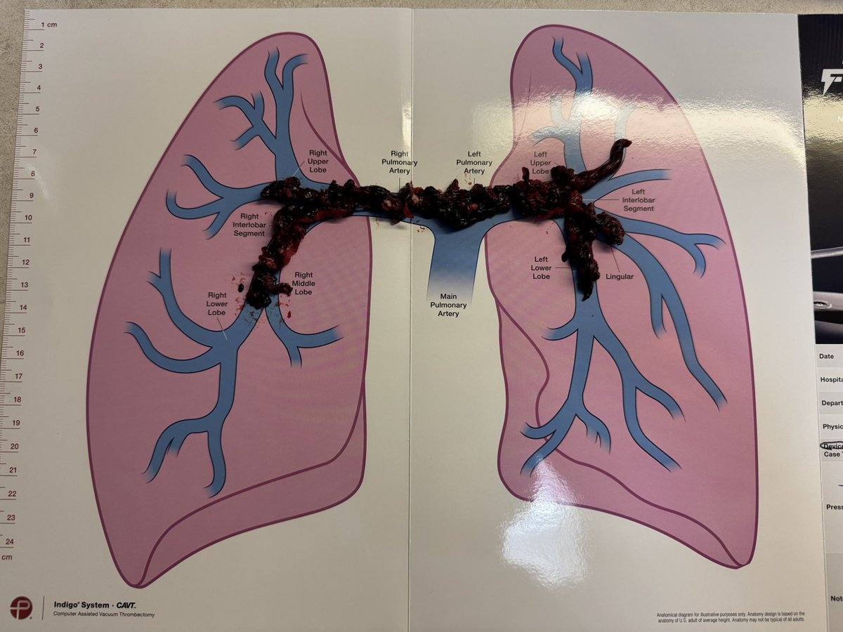 Izza Saeed tweet media