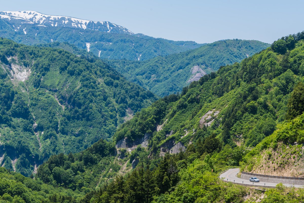 roadjapan's tweet photo. 深い深い山々。道路しか存在しない世界。ホワイトロード。 #びっくり道路選手権2025 https://t.co/BCgcONChYh
