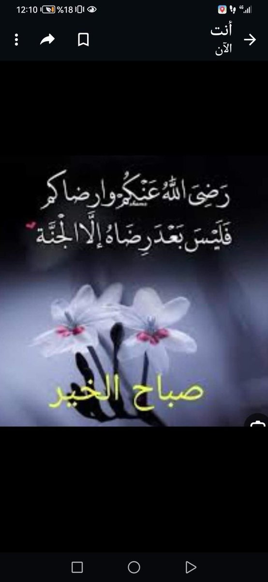 (ولـَسوْفَ يُعْطِيــكَ رَبُّك فــَــتَرْضَـــــــــــــــىَ)...❤︎︎ 

#صبـོـــــــــاح_الخيـــــــــــــر