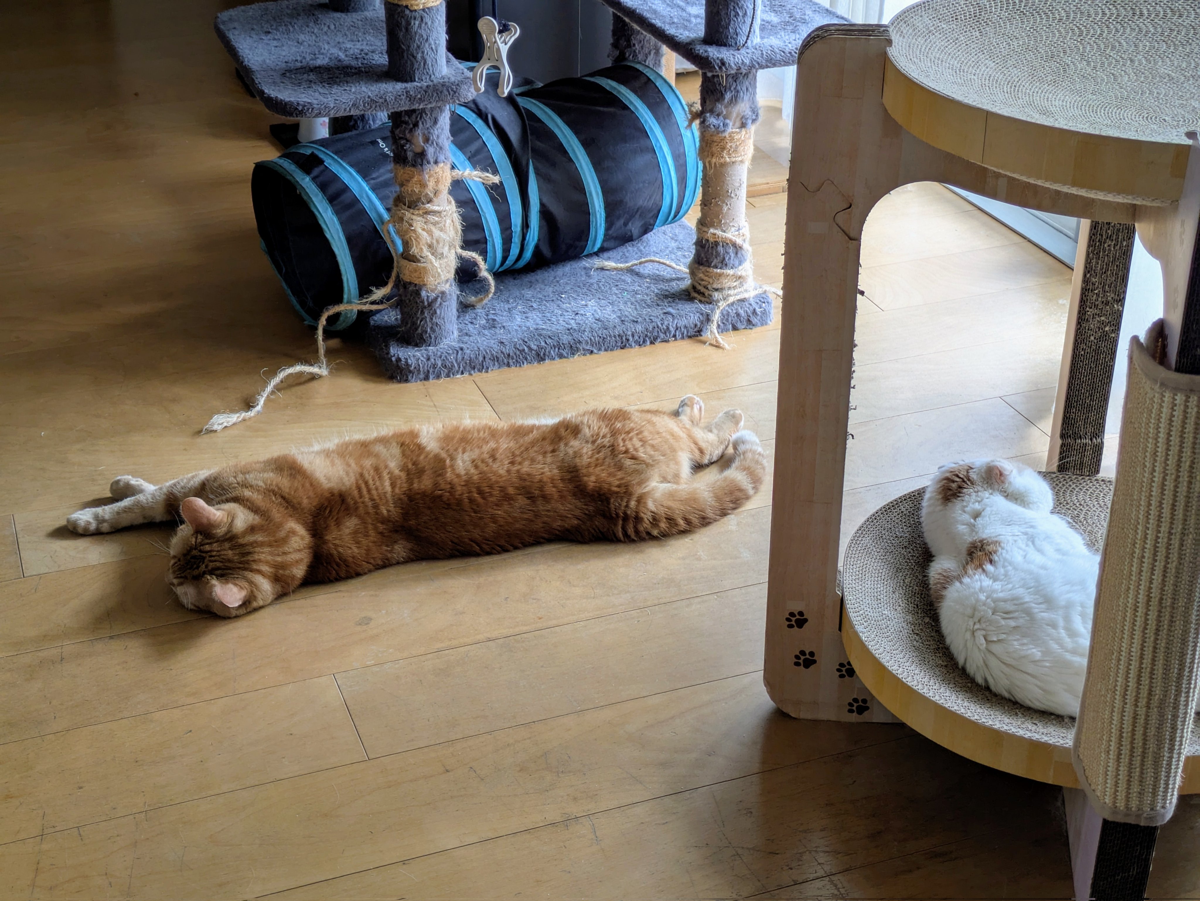 クロス以外の作品　猫の日（2月22日）特集　魚をつけたネコのペンダント　sc13 猫の日 - Search / X