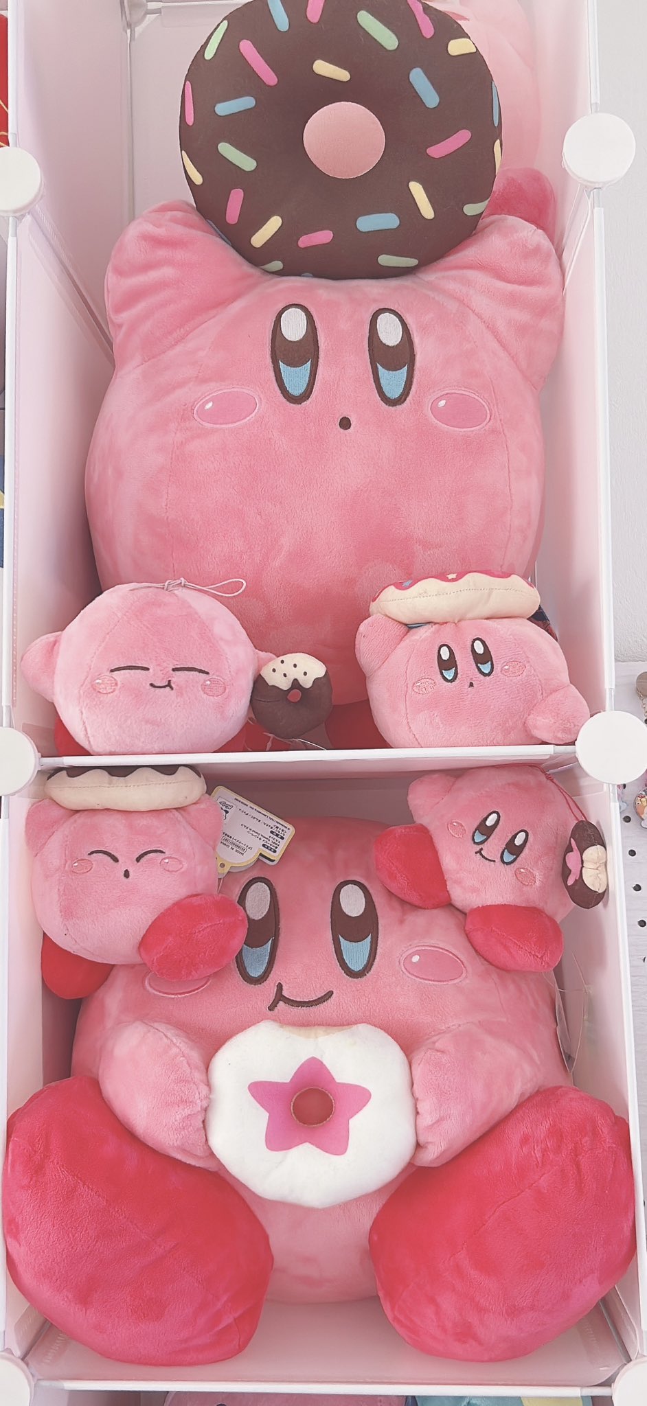 おぐっち様へ専用ページ　24.5 m78786915752_1.jpg?1745220981