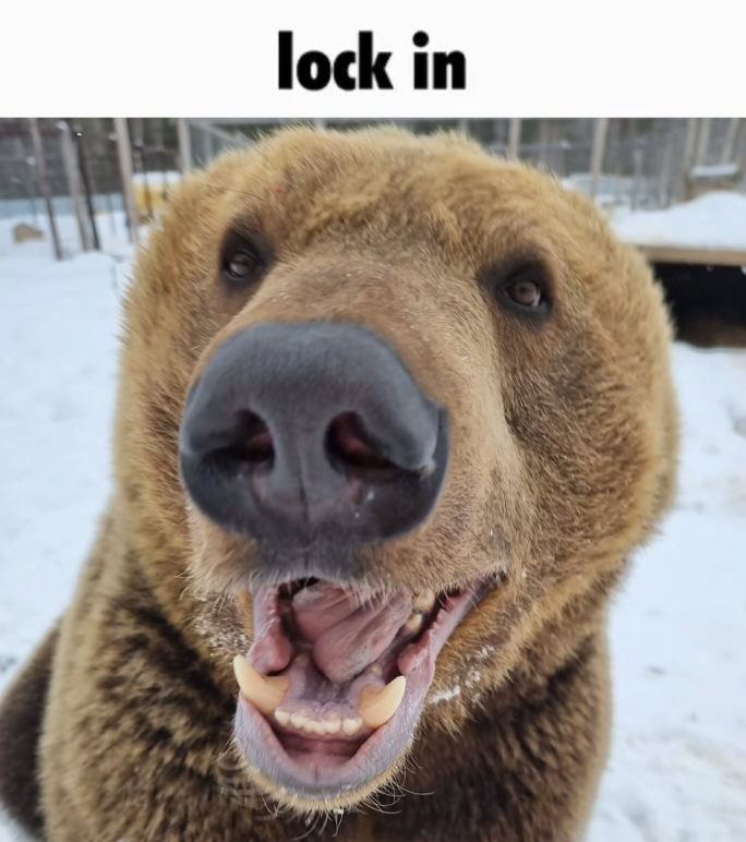 BearyDales (@bearydales) on Twitter photo 