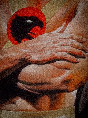 𝗠𝗜𝗗𝗡𝗜𝗚𝗛𝗧𝗘𝗥 tweet media