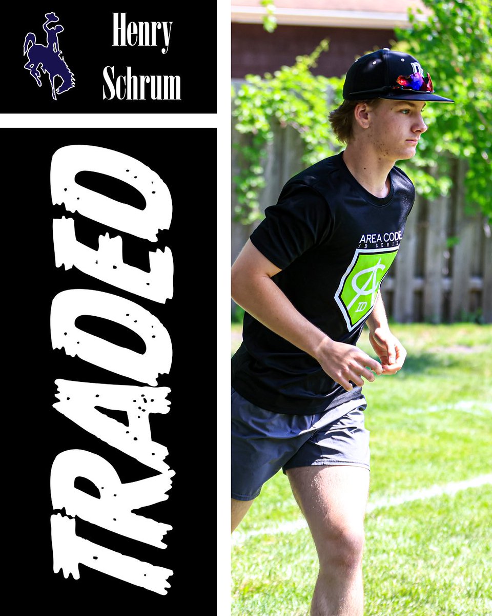 WBL Wiffle Ball tweet media