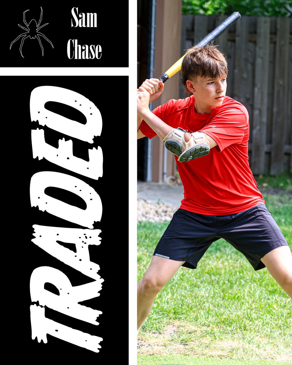 WBL Wiffle Ball tweet media